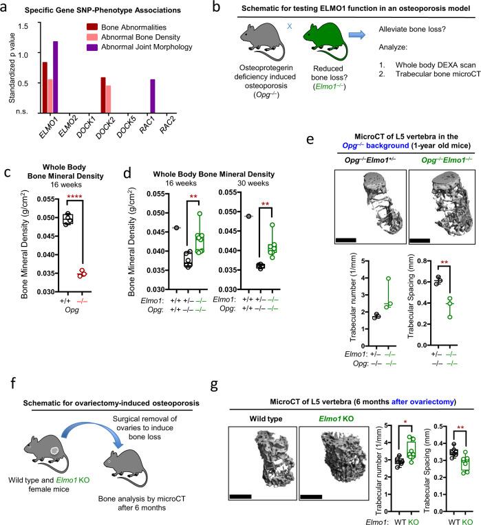 https://cdn.ncbi.nlm.nih.gov/pmc/blobs/d90b/8371122/36e5a6e46e07/41467_2021_25239_Fig1_HTML.jpg