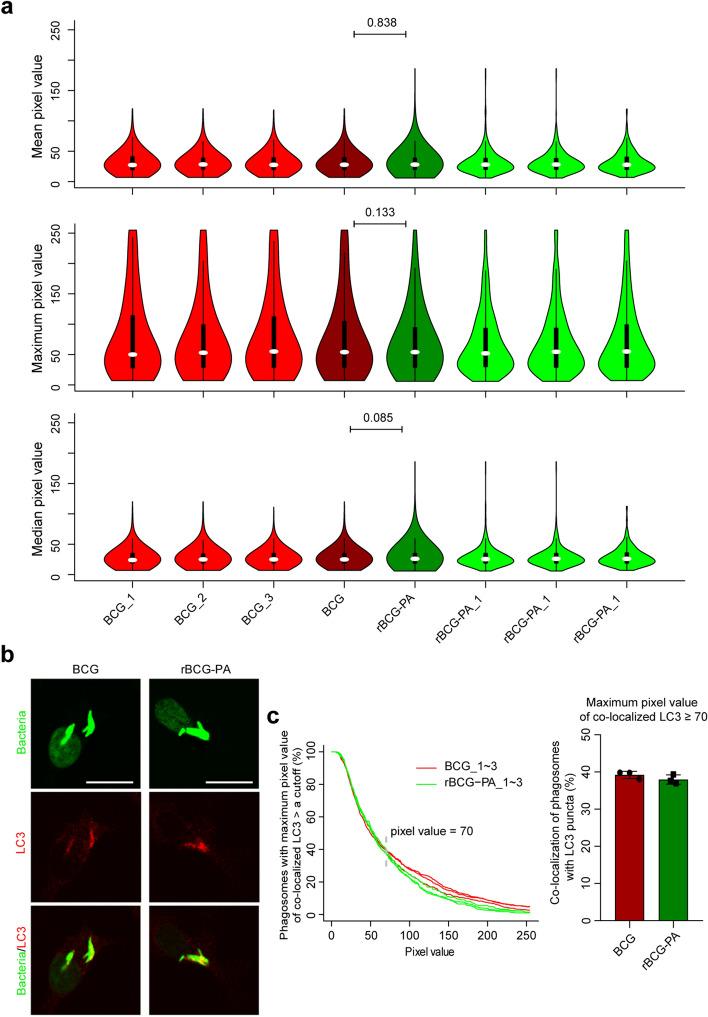 https://cdn.ncbi.nlm.nih.gov/pmc/blobs/d90c/7807018/a782e4b4a615/41598_2020_79425_Fig5_HTML.jpg