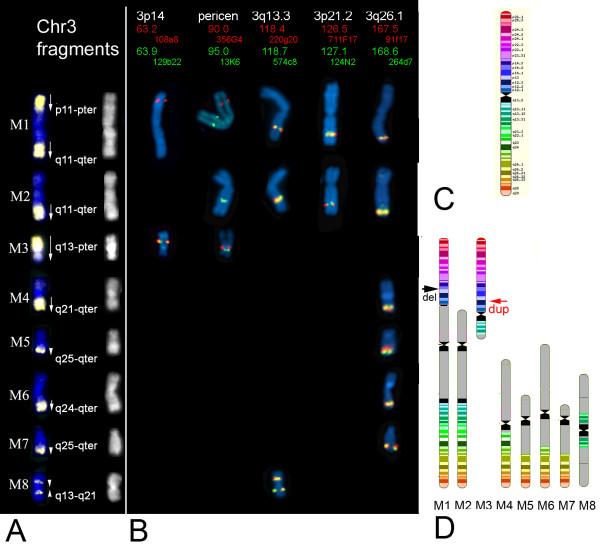 https://cdn.ncbi.nlm.nih.gov/pmc/blobs/d90d/1769374/73500dd4b567/1471-2164-7-330-1.jpg