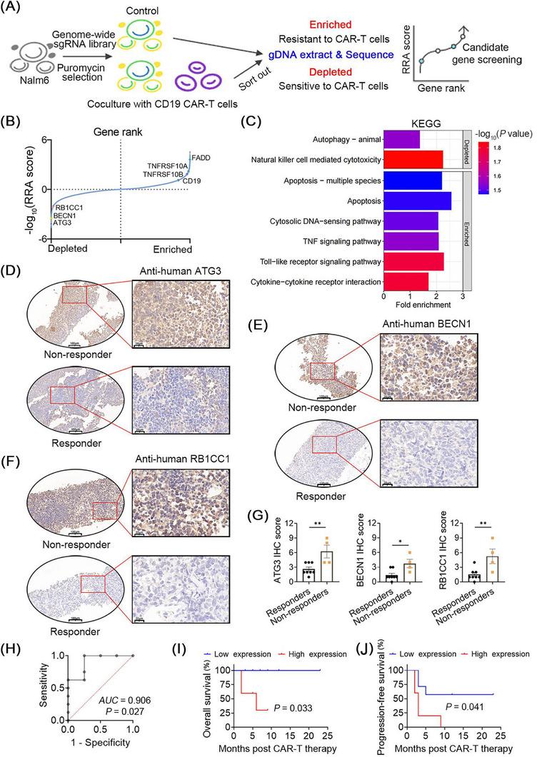 https://cdn.ncbi.nlm.nih.gov/pmc/blobs/d90e/10958674/2e335677326d/CAC2-44-408-g004.jpg