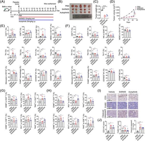 https://cdn.ncbi.nlm.nih.gov/pmc/blobs/d90e/10958674/ab3767946c26/CAC2-44-408-g006.jpg