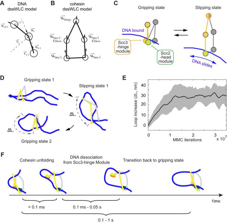 https://cdn.ncbi.nlm.nih.gov/pmc/blobs/d910/8313234/22ebd510ed06/elife-67530-fig5.jpg