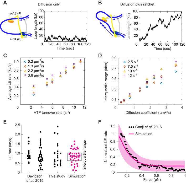 https://cdn.ncbi.nlm.nih.gov/pmc/blobs/d910/8313234/7d05cacd266f/elife-67530-fig6.jpg
