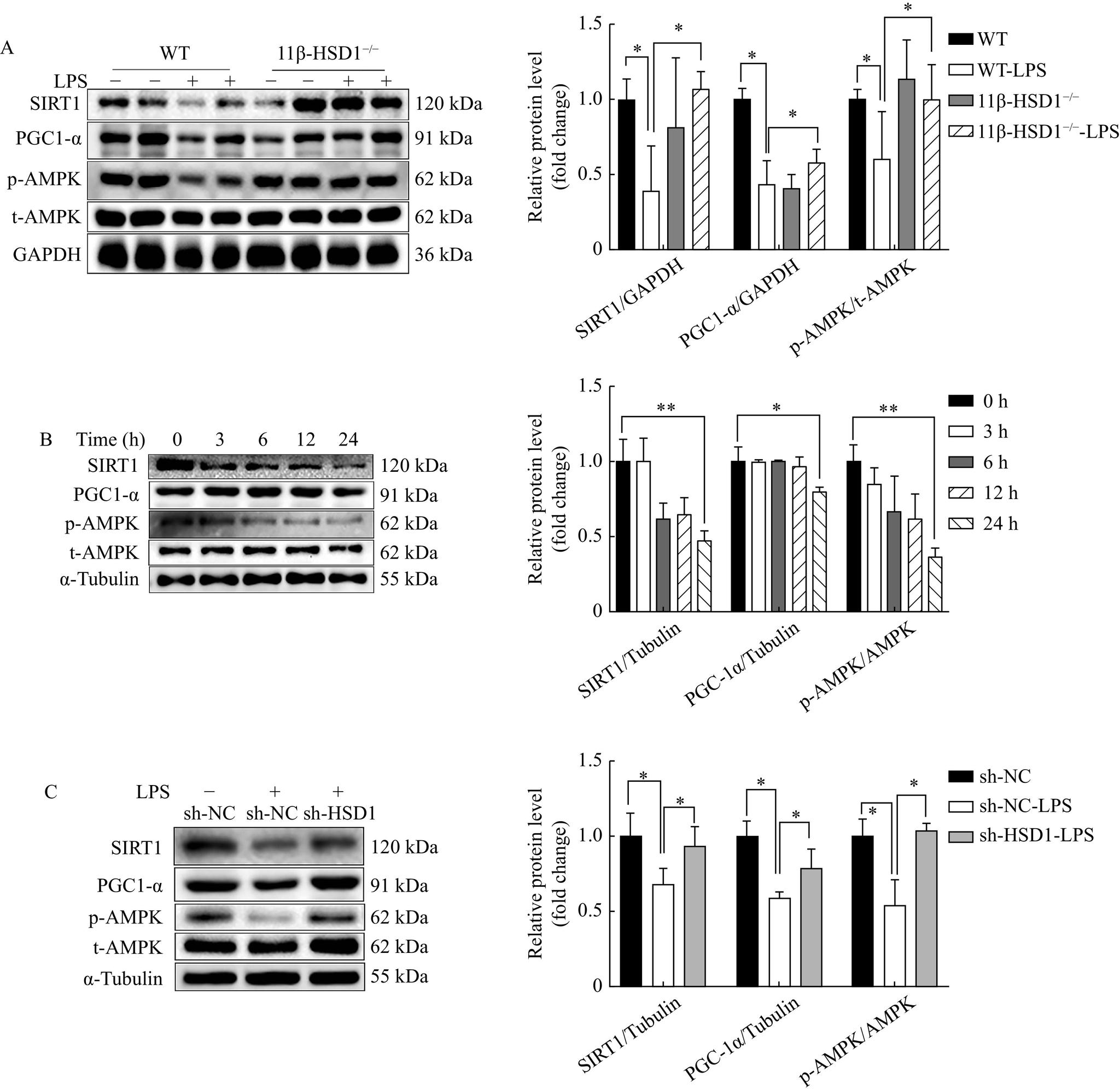 https://cdn.ncbi.nlm.nih.gov/pmc/blobs/d912/10387747/8ef6d29c8c7a/jbr-37-4-303-5.jpg