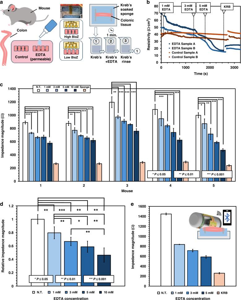 https://cdn.ncbi.nlm.nih.gov/pmc/blobs/d912/11802857/19aa72e19892/41378_2025_877_Fig4_HTML.jpg