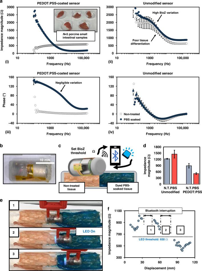 https://cdn.ncbi.nlm.nih.gov/pmc/blobs/d912/11802857/b4d4106b0075/41378_2025_877_Fig3_HTML.jpg