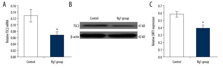 https://cdn.ncbi.nlm.nih.gov/pmc/blobs/d912/7032532/11d601560ff6/medscimonit-26-e918207-g005.jpg