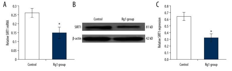 https://cdn.ncbi.nlm.nih.gov/pmc/blobs/d912/7032532/810815f9b46d/medscimonit-26-e918207-g004.jpg