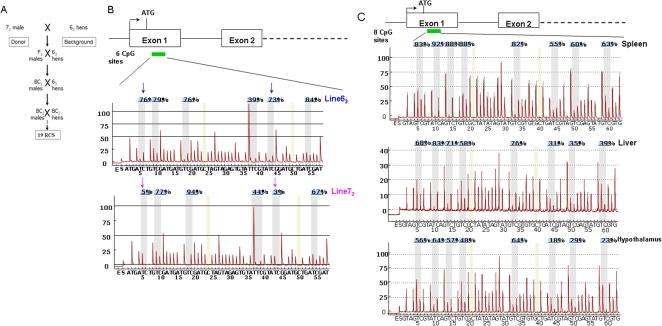 https://cdn.ncbi.nlm.nih.gov/pmc/blobs/d913/2481300/1b029b9f3392/pone.0002672.g001.jpg