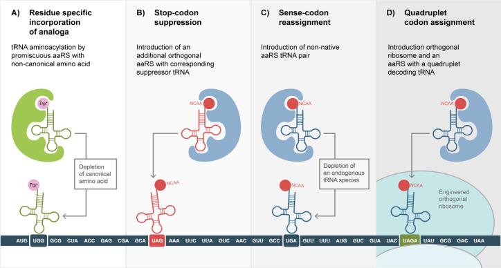 https://cdn.ncbi.nlm.nih.gov/pmc/blobs/d915/11826901/ed162069acce/cr4c00126_0004.jpg