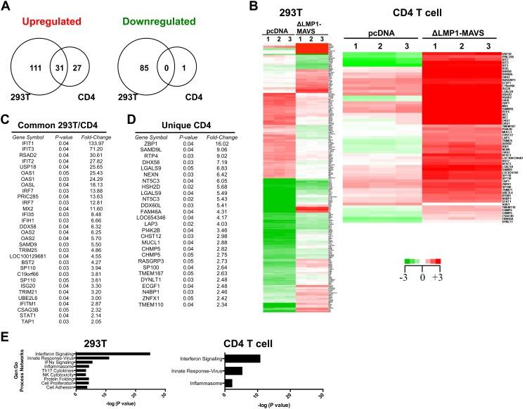 https://cdn.ncbi.nlm.nih.gov/pmc/blobs/d915/4743994/6fd52cfd8ce8/pone.0148929.g004.jpg