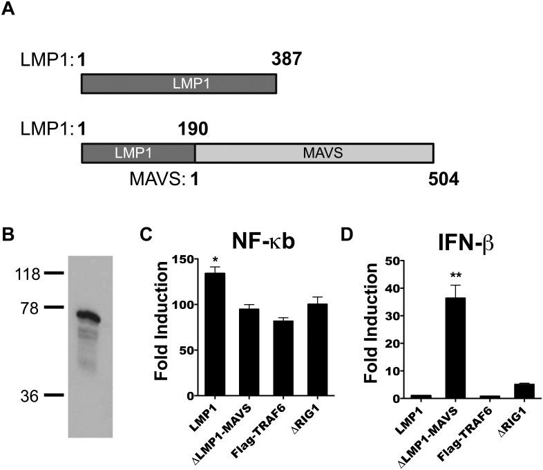 https://cdn.ncbi.nlm.nih.gov/pmc/blobs/d915/4743994/de2395e6b2d9/pone.0148929.g001.jpg