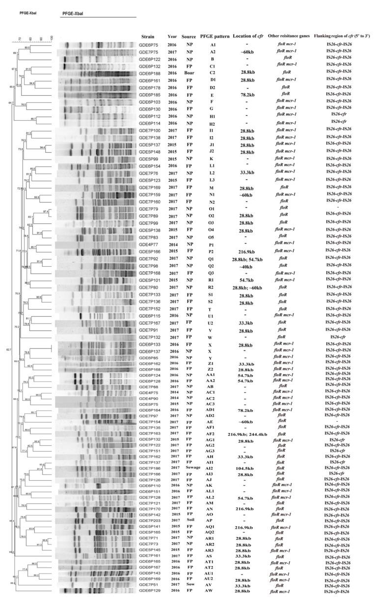 https://cdn.ncbi.nlm.nih.gov/pmc/blobs/d915/7823714/1c308c55e2ad/pathogens-10-00033-g002.jpg