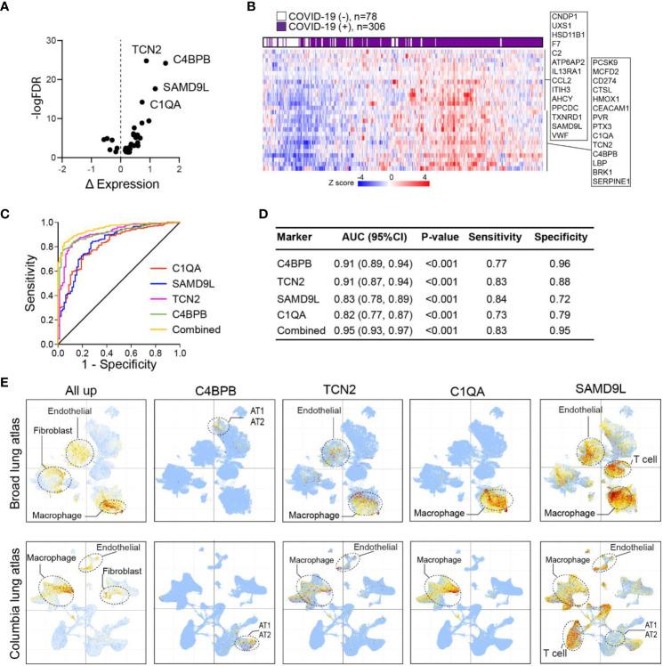 https://cdn.ncbi.nlm.nih.gov/pmc/blobs/d916/10628763/7041f1d018ec/fimmu-14-1269335-g005.jpg