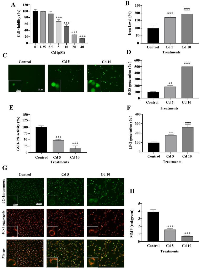 https://cdn.ncbi.nlm.nih.gov/pmc/blobs/d916/12346323/837467c2bdde/ijms-26-07204-g001.jpg