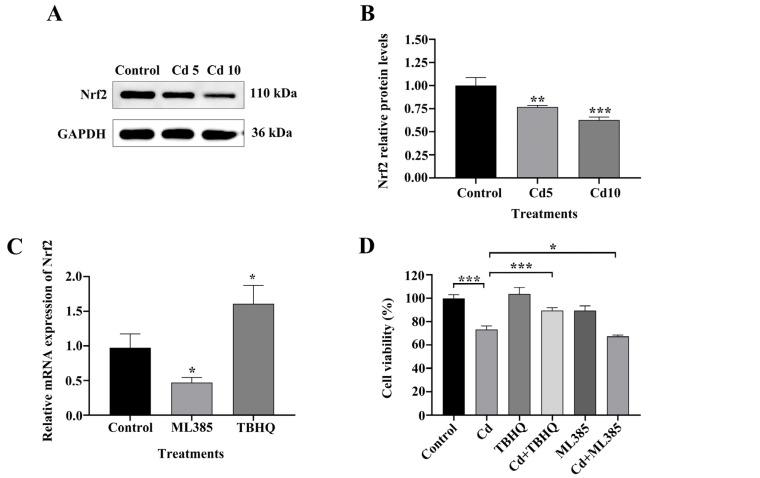 https://cdn.ncbi.nlm.nih.gov/pmc/blobs/d916/12346323/f05b7fea6e20/ijms-26-07204-g005a.jpg