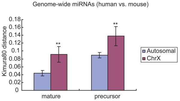 https://cdn.ncbi.nlm.nih.gov/pmc/blobs/d917/2660371/dd2c59c28dd1/1471-2164-10-97-2.jpg