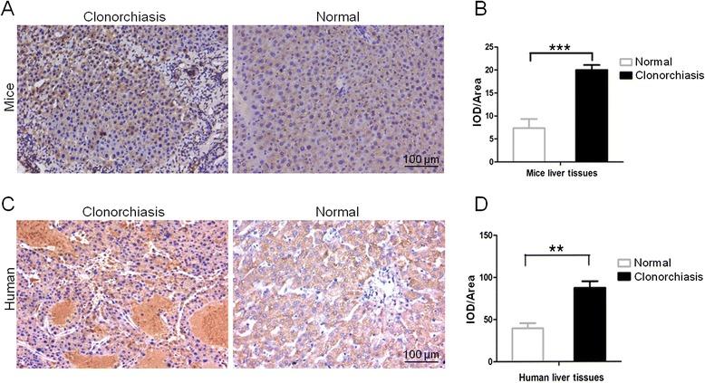 https://cdn.ncbi.nlm.nih.gov/pmc/blobs/d91a/4687107/322289ff509e/13071_2015_1248_Fig6_HTML.jpg