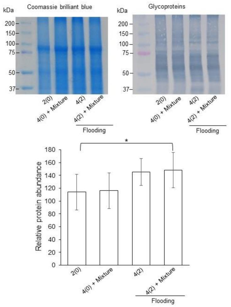 https://cdn.ncbi.nlm.nih.gov/pmc/blobs/d91a/7072913/649f226cf464/ijms-21-01300-g005.jpg