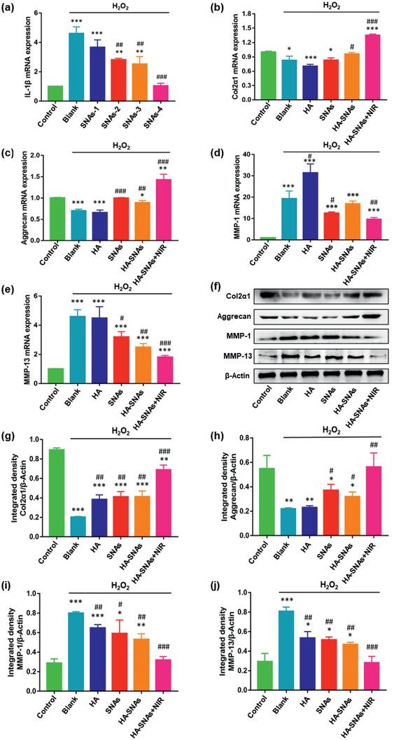 https://cdn.ncbi.nlm.nih.gov/pmc/blobs/d91a/8097319/6e7adfd05763/ADVS-8-2004793-g002.jpg