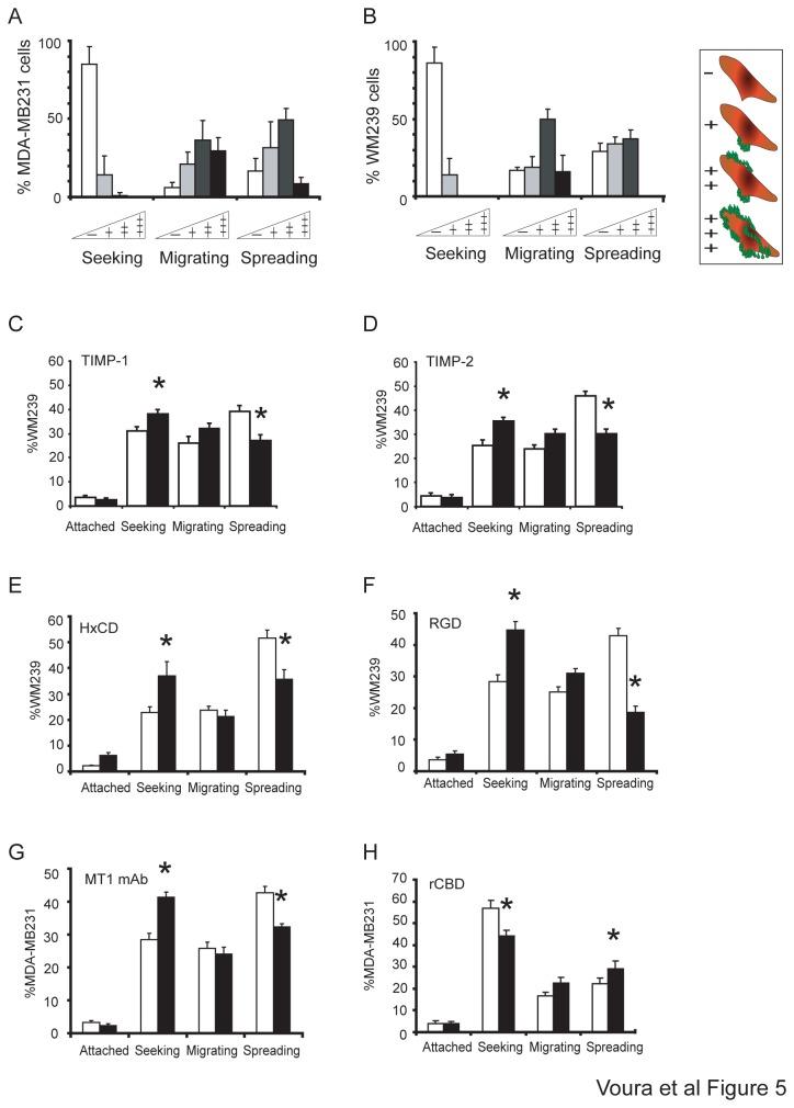 https://cdn.ncbi.nlm.nih.gov/pmc/blobs/d91b/3806793/b73a076181ac/pone.0078413.g005.jpg