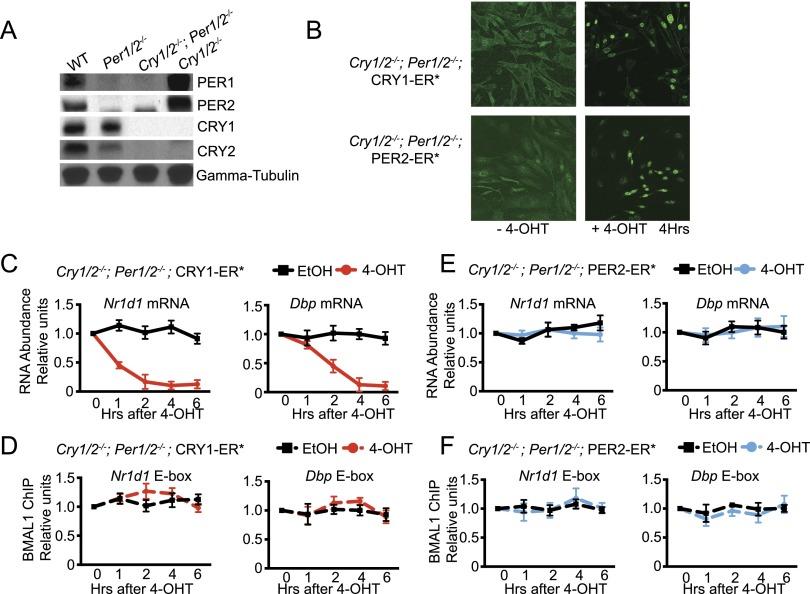 https://cdn.ncbi.nlm.nih.gov/pmc/blobs/d91c/4173159/cef748ea9e96/1989fig3.jpg