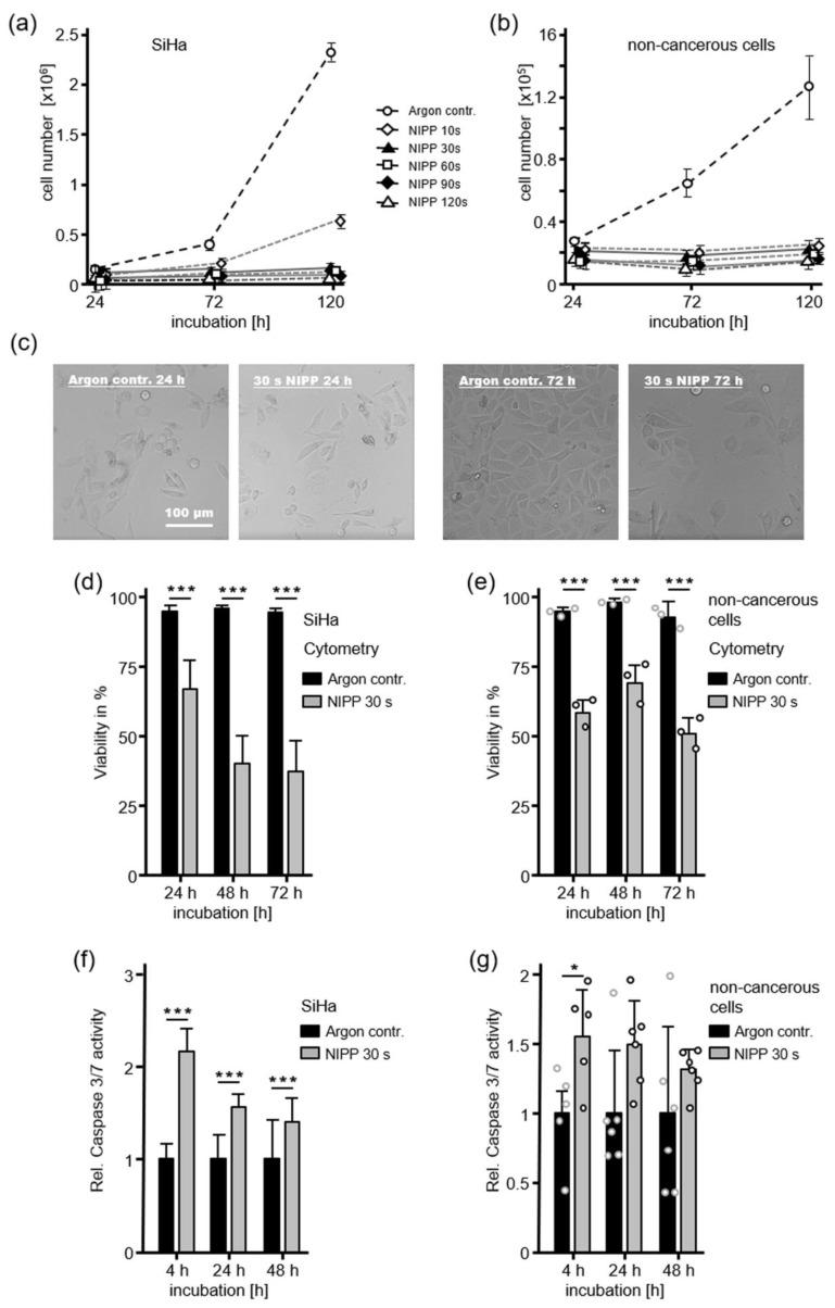 https://cdn.ncbi.nlm.nih.gov/pmc/blobs/d91c/7072402/872b51e883e2/cancers-12-00267-g001.jpg