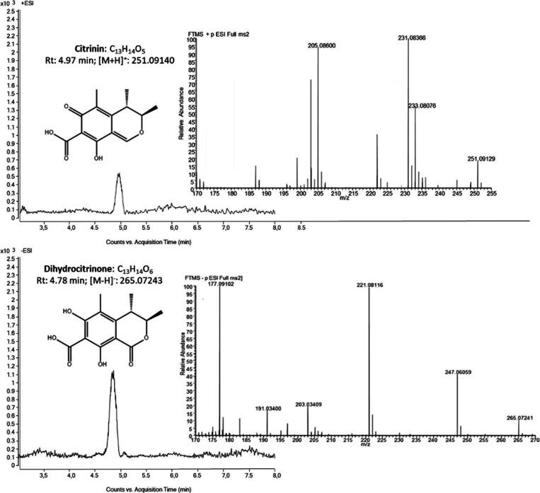https://cdn.ncbi.nlm.nih.gov/pmc/blobs/d91c/9131448/987679754079/jf1c01776_0002.jpg