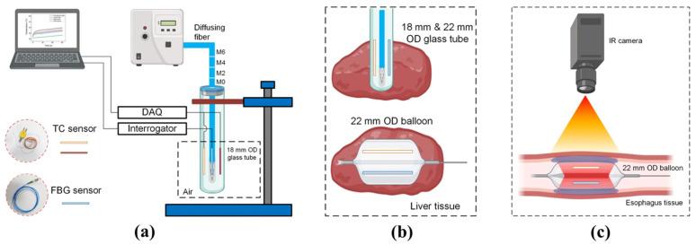 https://cdn.ncbi.nlm.nih.gov/pmc/blobs/d91d/10346888/e7cb91b9020b/sensors-23-06069-g002.jpg