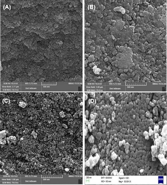 https://cdn.ncbi.nlm.nih.gov/pmc/blobs/d91f/11251011/945a5d03087d/41598_2024_66883_Fig7_HTML.jpg