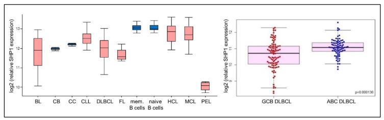https://cdn.ncbi.nlm.nih.gov/pmc/blobs/d920/7352865/a601421fc32e/cancers-12-01396-g003.jpg