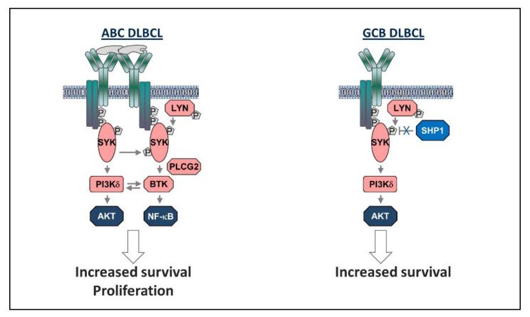 https://cdn.ncbi.nlm.nih.gov/pmc/blobs/d920/7352865/c4825dfcc8e6/cancers-12-01396-g004.jpg