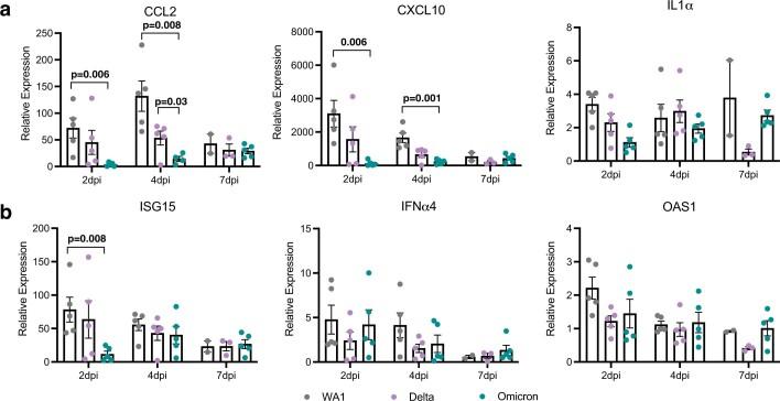 https://cdn.ncbi.nlm.nih.gov/pmc/blobs/d920/9279157/ae224c8b2f29/41586_2022_4865_Fig8_ESM.jpg