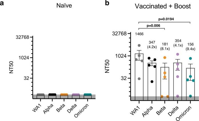 https://cdn.ncbi.nlm.nih.gov/pmc/blobs/d920/9279157/c980c3dfccba/41586_2022_4865_Fig9_ESM.jpg