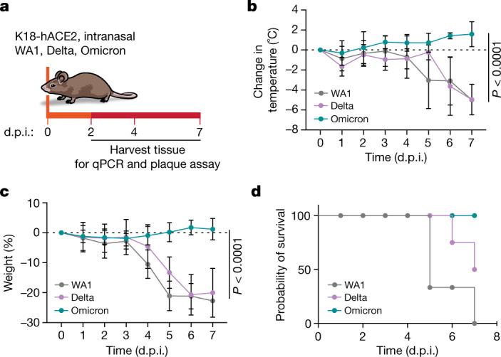 https://cdn.ncbi.nlm.nih.gov/pmc/blobs/d920/9279157/e1da23af0a5d/41586_2022_4865_Fig1_HTML.jpg