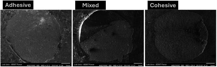 https://cdn.ncbi.nlm.nih.gov/pmc/blobs/d921/12077840/ff0b4ad81c07/jced-17-e407-g001.jpg