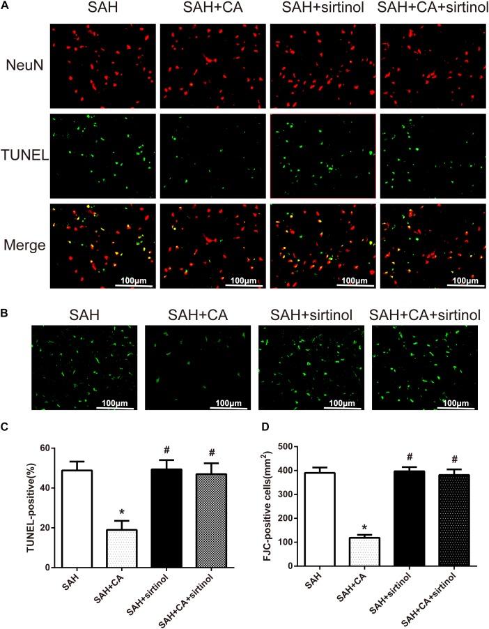 https://cdn.ncbi.nlm.nih.gov/pmc/blobs/d921/6411796/791543ba2944/fnins-13-00026-g006.jpg