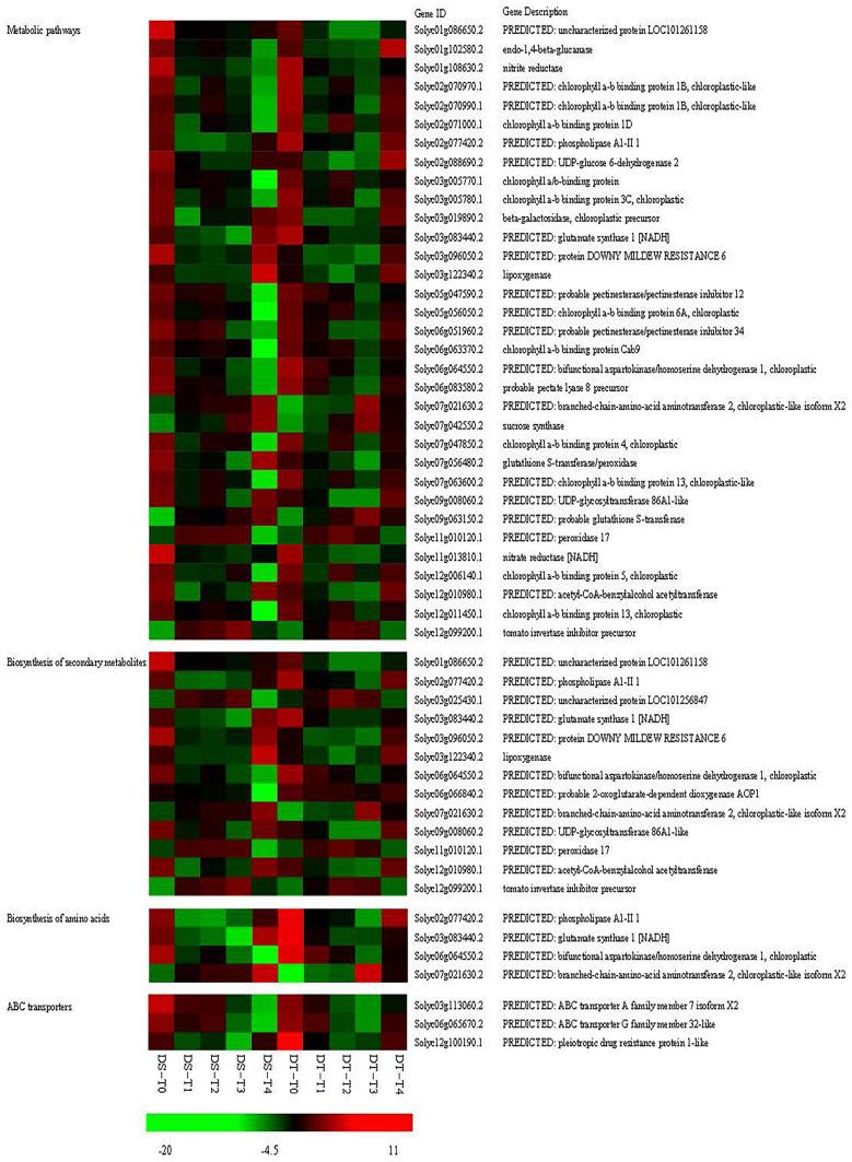 https://cdn.ncbi.nlm.nih.gov/pmc/blobs/d923/10889177/5dde847e4181/ijms-25-02187-g006.jpg