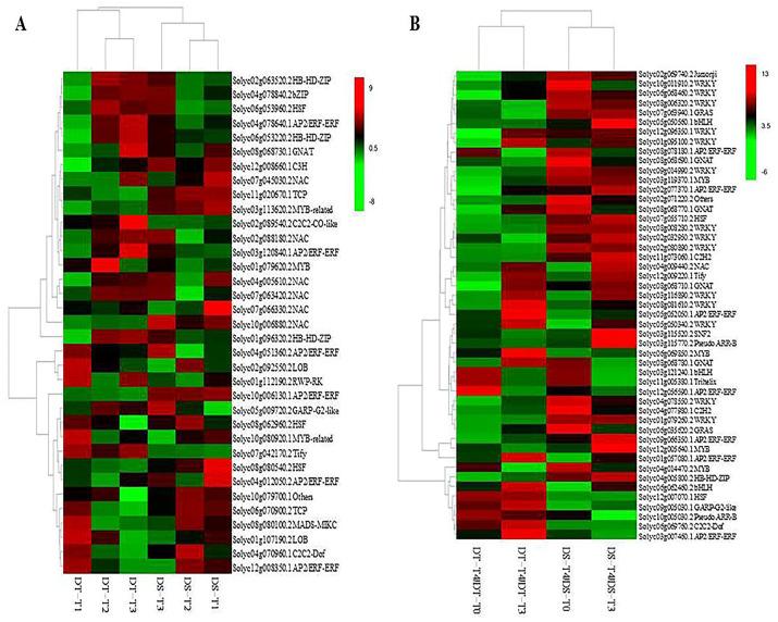 https://cdn.ncbi.nlm.nih.gov/pmc/blobs/d923/10889177/cc289d8d6e53/ijms-25-02187-g004.jpg