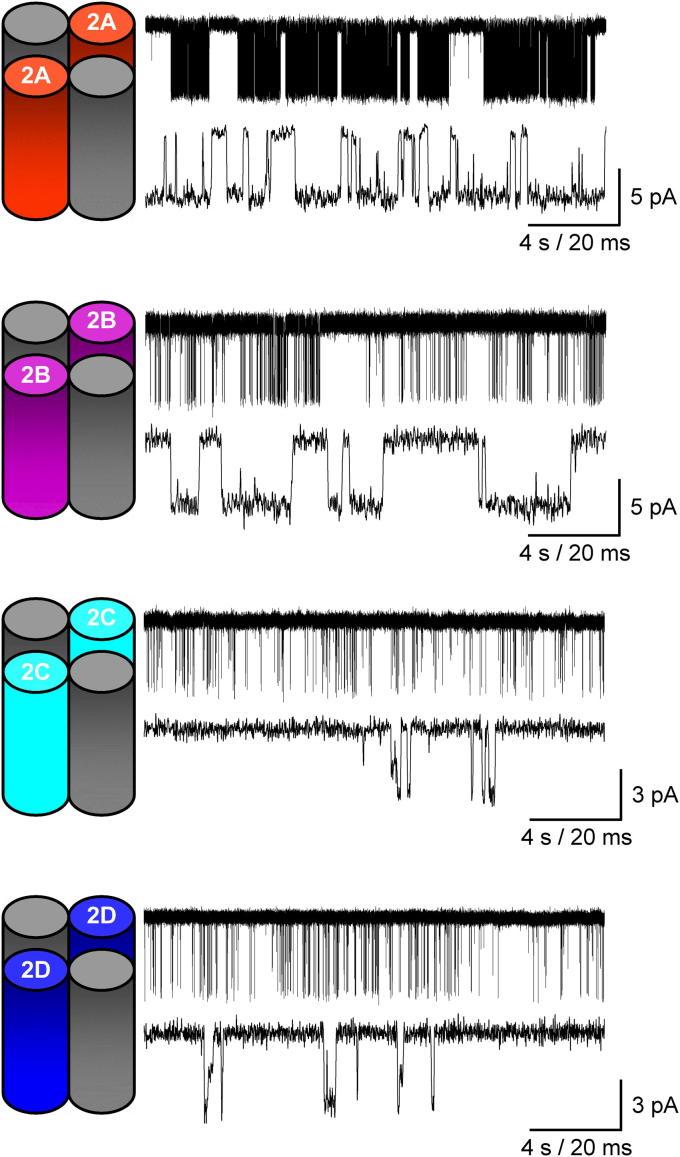 https://cdn.ncbi.nlm.nih.gov/pmc/blobs/d929/3778433/0127155a70d4/gr4.jpg