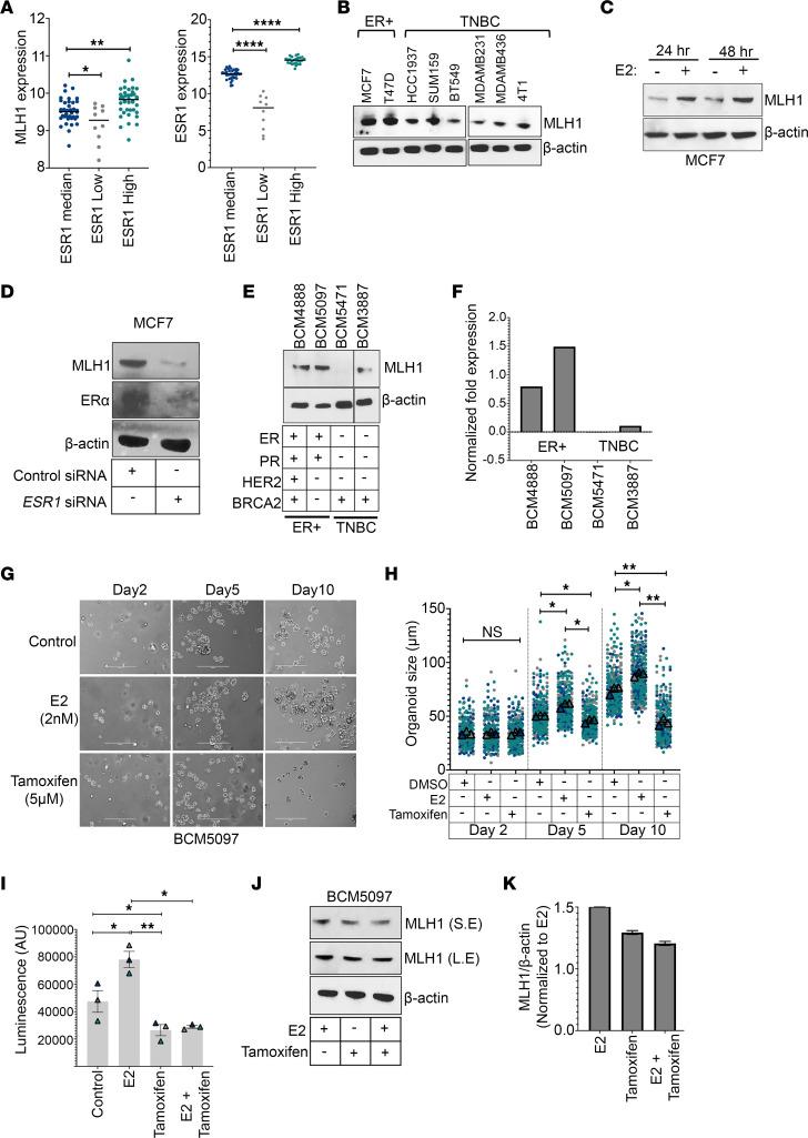 https://cdn.ncbi.nlm.nih.gov/pmc/blobs/d92b/10977984/5c2d720a8e1b/jci-134-173718-g065.jpg