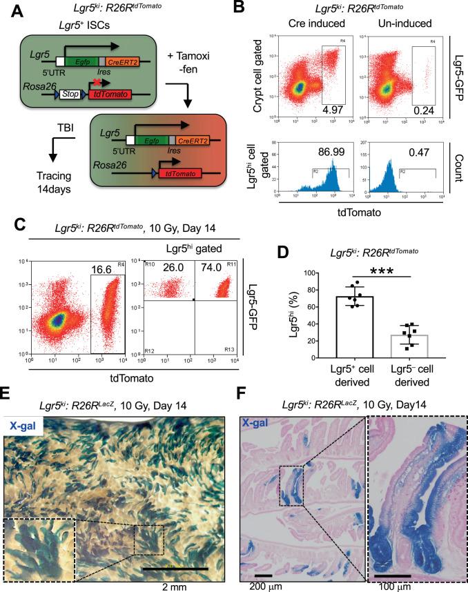 https://cdn.ncbi.nlm.nih.gov/pmc/blobs/d92c/7244543/10e12cf9876a/41598_2020_64987_Fig2_HTML.jpg