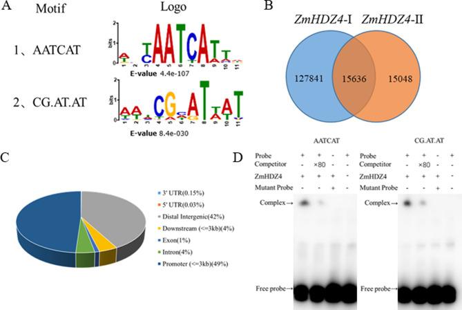 https://cdn.ncbi.nlm.nih.gov/pmc/blobs/d92d/11656746/ea35f0737987/12870_2024_5951_Fig4_HTML.jpg