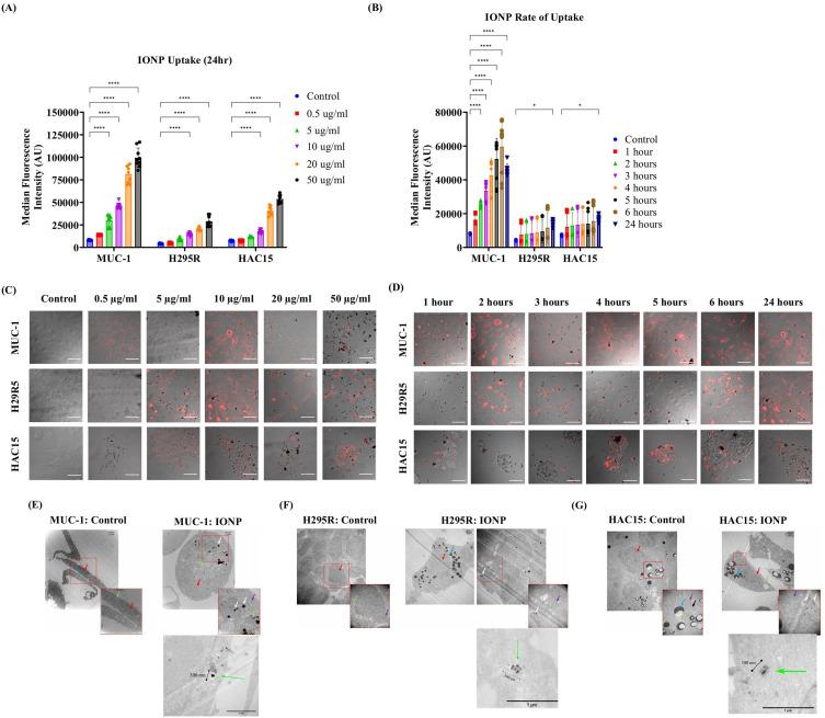 https://cdn.ncbi.nlm.nih.gov/pmc/blobs/d92d/12404198/7b6764fecebd/IJN-20-10487-g0003.jpg