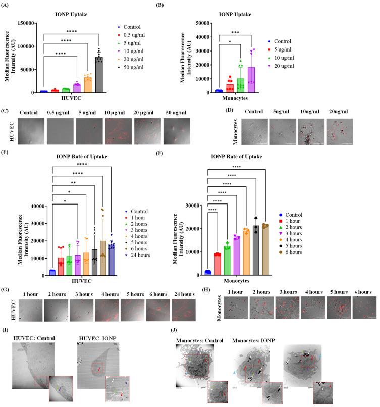 https://cdn.ncbi.nlm.nih.gov/pmc/blobs/d92d/12404198/81cba79f2626/IJN-20-10487-g0005.jpg