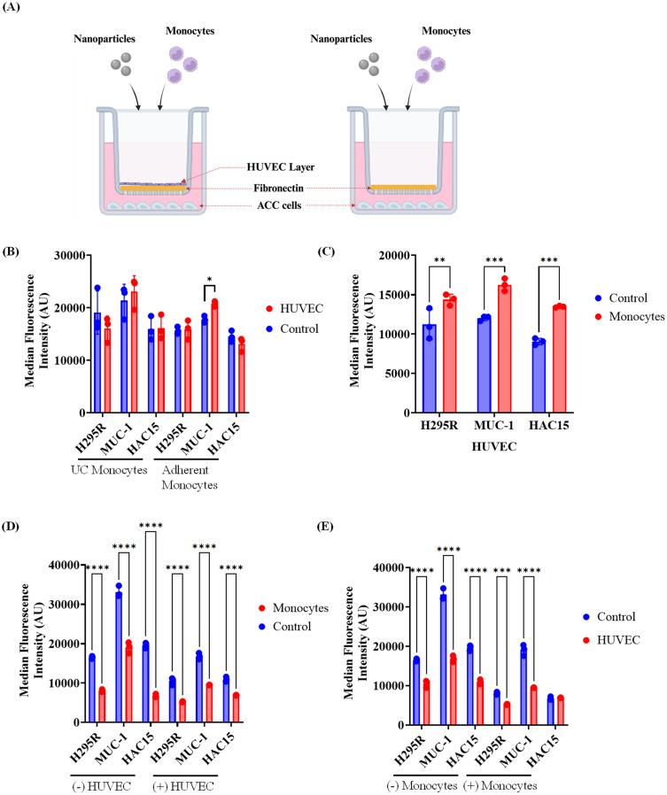 https://cdn.ncbi.nlm.nih.gov/pmc/blobs/d92d/12404198/a3545cdf99b6/IJN-20-10487-g0006.jpg