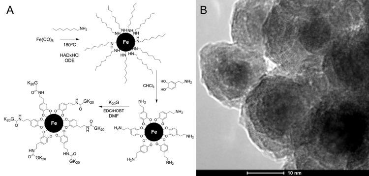 https://cdn.ncbi.nlm.nih.gov/pmc/blobs/d92d/12404198/cf551ae55a6c/IJN-20-10487-g0002.jpg
