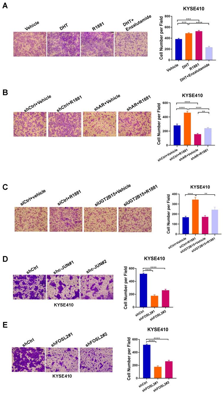 https://cdn.ncbi.nlm.nih.gov/pmc/blobs/d92e/10741602/03e8a097144a/cancers-15-05719-g004.jpg