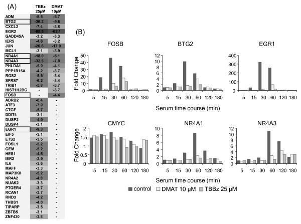 https://cdn.ncbi.nlm.nih.gov/pmc/blobs/d930/2824761/004c0b59b3dd/1471-2199-11-4-2.jpg