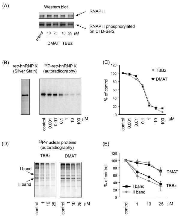https://cdn.ncbi.nlm.nih.gov/pmc/blobs/d930/2824761/a3efa4019e55/1471-2199-11-4-4.jpg